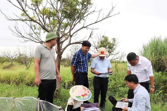 Cuốn chiếu giải phóng mặt bằng, đẩy tiến độ dự án
