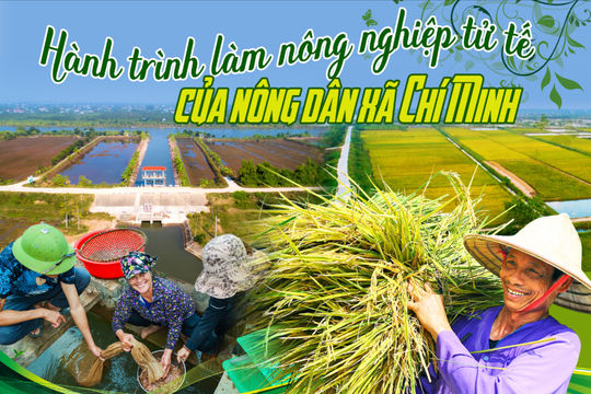 Hành trình làm nông nghiệp tử tế của nông dân xã Chí Minh