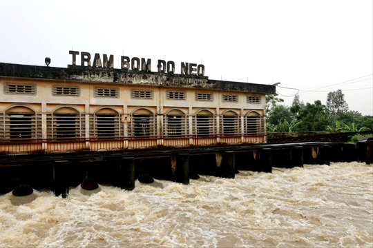 Mưa lớn 3 ngày liên tiếp, vận hành 71 trạm bơm chống úng bảo vệ sản xuất nông nghiệp
