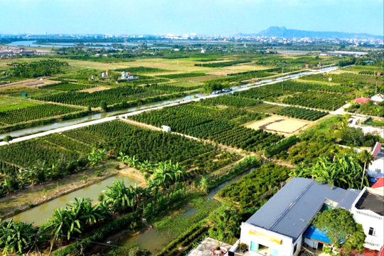 Góc khuất thỏa thuận 'chui' khi chuyển nhượng đất nông nghiệp