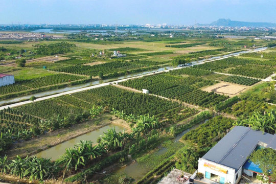 Đề xuất lấy ý kiến nhân dân về dự thảo Luật Đất đai sửa đổi qua ứng dụng VNeID