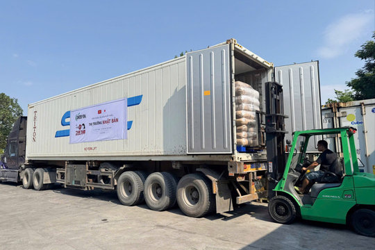 Jungtop Vina xuất khẩu 20 tấn bột ớt đầu tiên sang Nhật Bản