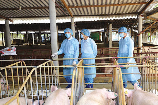 Ứng dụng công nghệ vi sinh trong sản xuất nông nghiệp