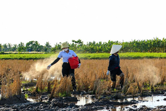Men vi sinh - Giải pháp cho nền nông nghiệp xanh