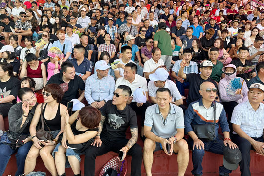 Hàng nghìn người đổ về xem Lễ hội chọi trâu Đồ Sơn - VTV 2026