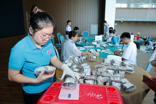 Hơn 1.000 người lao động đăng ký tham gia hiến máu