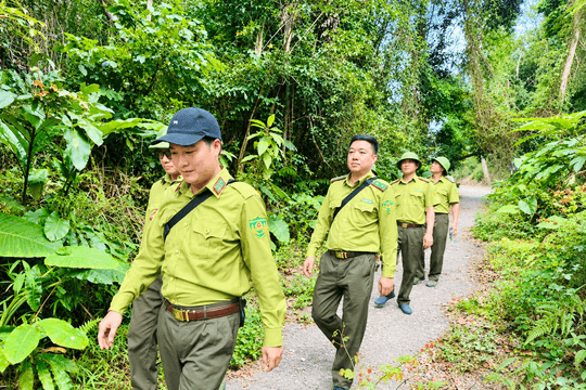 Protecting Hai Phong’s ‘green lungs’