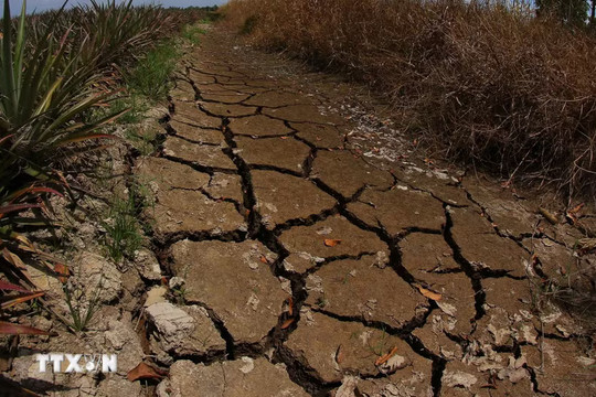 Chủ động nguồn nước trước tác động của El Nino