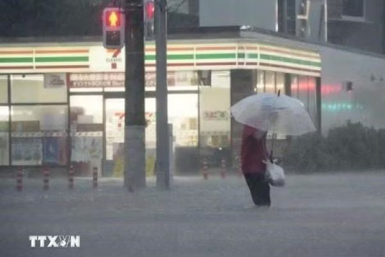 Bão Dujuan làm 4 người thiệt mạng, hàng chục người bị thương