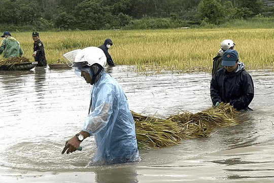 Bắc Bộ có mưa dông vài nơi, miền Trung đối mặt mưa rất to