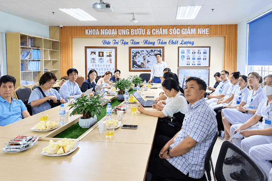 Japanese experts exchange experience in Hai Phong