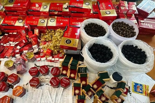 Triệt phá đường dây sản xuất thuốc An Cung giả nghìn tấn