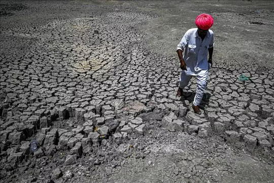 El Niño định hình lại hoạt động bão nhiệt đới trên toàn cầu