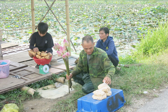 Gắn sản phẩm OCOP với du lịch trải nghiệm
