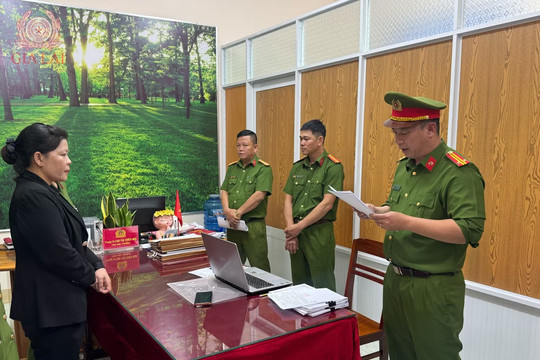 Khởi tố 6 cựu giáo viên liên quan vụ lập hồ sơ khống tại Gia Lai