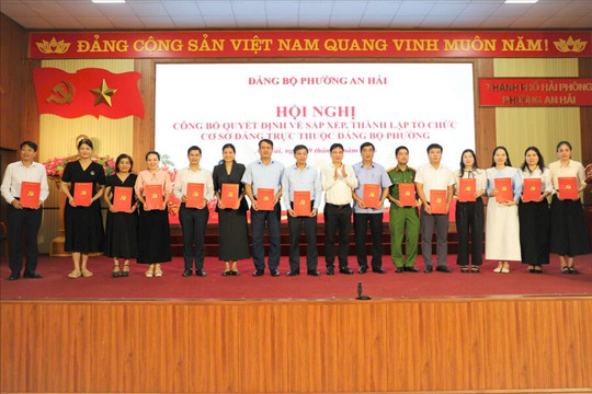 Phường An Hải hoàn thành và vượt tất cả 18 chỉ tiêu theo tiến độ
