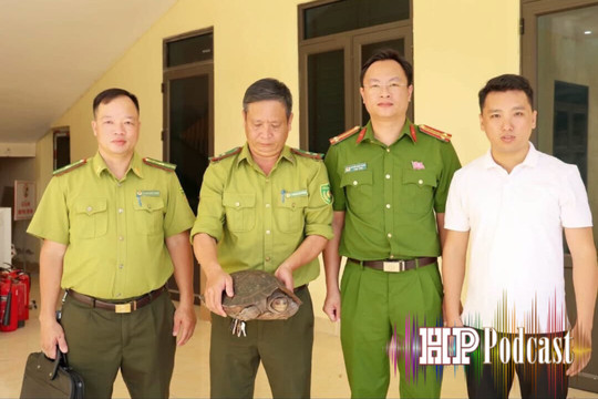 Bản tin 5 phút an ninh trật tự ngày 30/9/2026