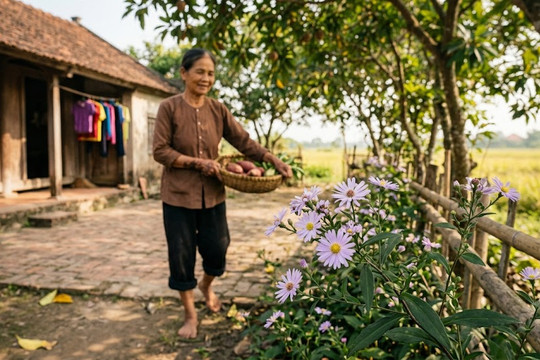 Lối về miền nhớ tháng mười