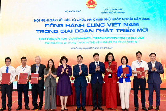 Harnessing foreign NGO resources
