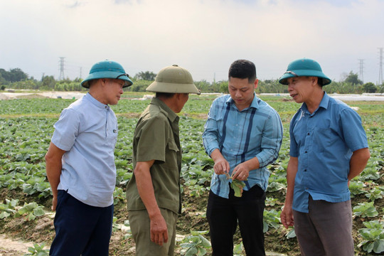 ‘Bác sĩ’ của cây trồng