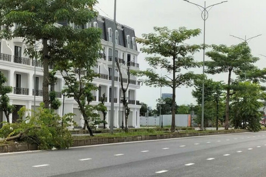 Cây xanh “lấn làn” trên đường Đỗ Mười kéo dài