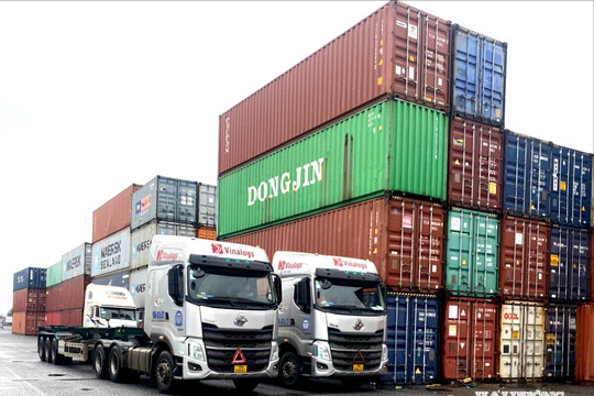 Doanh nghiệp vận tải thiếu lái xe container