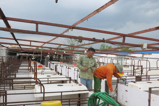 Để chính sách hỗ trợ đến gần nông dân