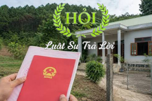 Đất do nông trường cấp có được công nhận là đất ở hay không?