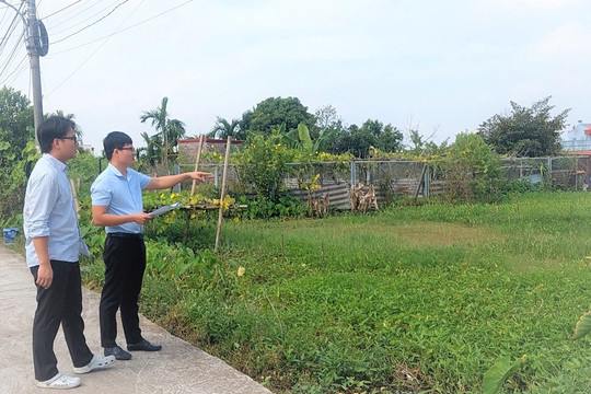 Dương Kinh đẩy nhanh dự án tạo quỹ đất sạch để đấu giá, phát triển đô thị