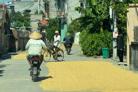 Đường giao thông không phải sân phơi thóc