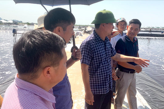 Đẩy mạnh ứng dụng công nghệ, kiểm soát môi trường và dịch bệnh