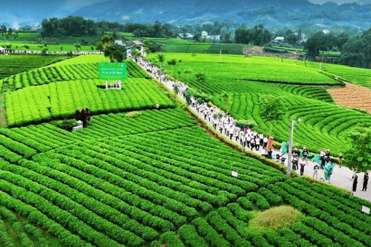 Du lịch Việt Nam tăng sức hút nhờ an toàn, đa dạng trải nghiệm