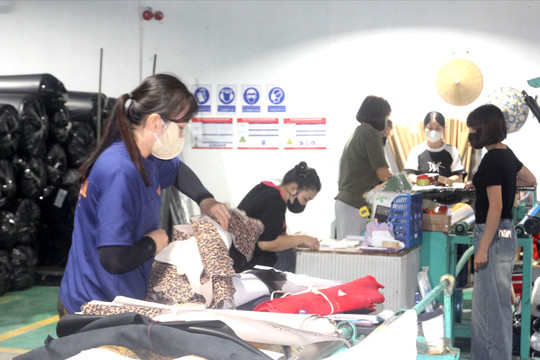 7 doanh nghiệp vi phạm quy định khám sức khỏe người lao động