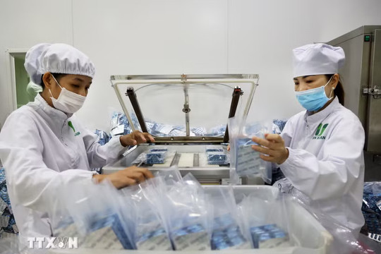 Phấn đấu đáp ứng 20% nhu cầu nguyên liệu làm thuốc trong nước