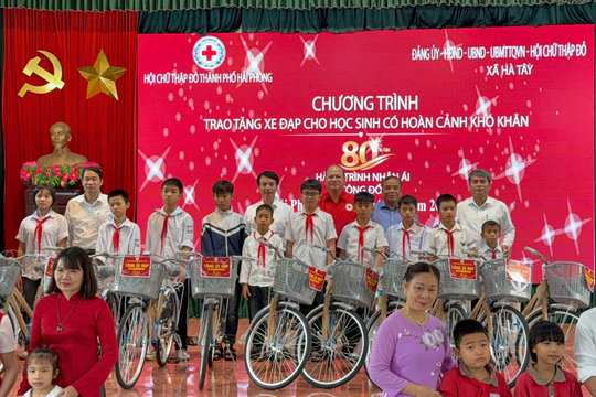 Kết nối hợp tác xã với các chương trình nhân đạo, an sinh xã hội