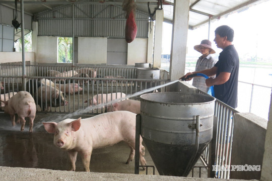 Mật độ chăn nuôi không vượt quá 2 đơn vị vật nuôi/ha đất nông nghiệp