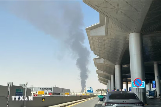 Tấn công sân bay Riyadh, 321 người thương vong