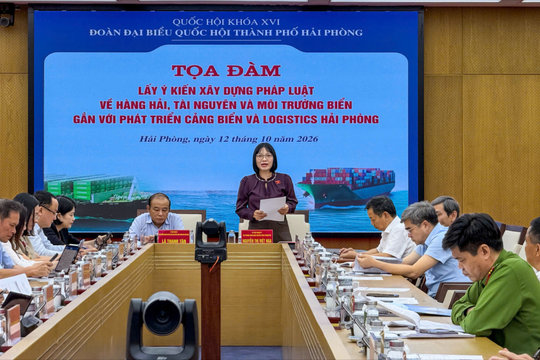 Đề xuất tháo gỡ vướng mắc trong phát triển cảng biển, logistics
