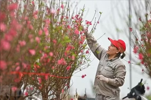 Lịch nghỉ lễ, Tết năm 2027 tại doanh nghiệp có gì đáng chú ý?