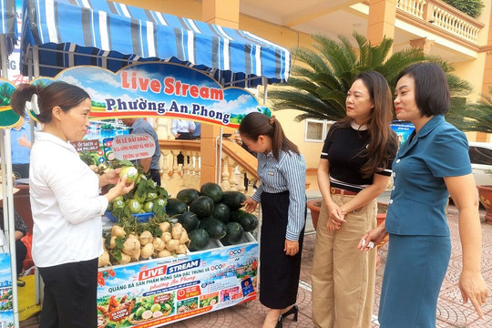 Ổi lê Đài Loan tại An Phong cho hiệu quả kinh tế cao
