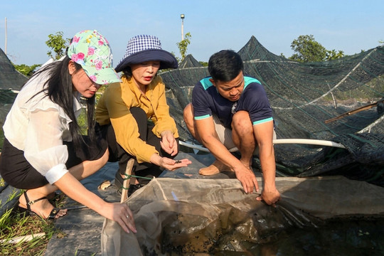 Không để phụ nữ nghèo bị bỏ lại phía sau