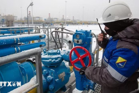 Châu Âu chi 209 tỷ USD mua năng lượng của Nga kể từ năm 2022