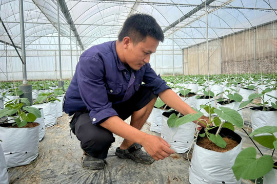 Breakthroughs in high-tech agriculture