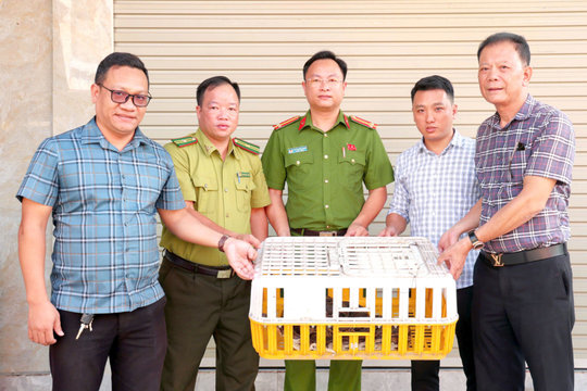 Người dân phường Nam Triệu tự nguyện giao nộp trăn đất nặng 10 kg