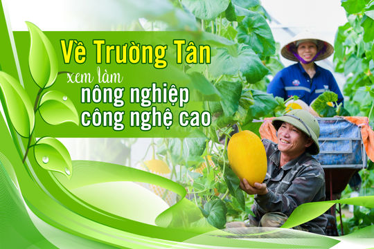 Về Trường Tân xem làm nông nghiệp công nghệ cao