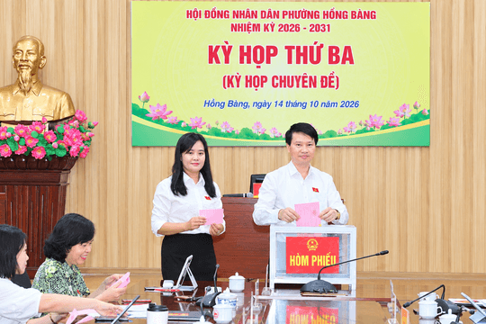Phường Hồng Bàng điều chỉnh tăng dự toán thu ngân sách hơn 450 tỷ đồng