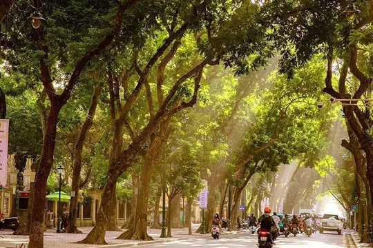 Bắc Bộ ngày nắng, đêm có mưa vài nơi