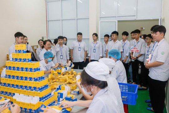 Gắn đào tạo nghề với nhu cầu thị trường lao động