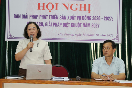 Sở Nông nghiệp và Môi trường Hải Phòng bàn giải pháp nâng cao giá trị vụ đông