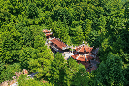 Preserving green heritage in line with President Ho Chi Minh’s teachings